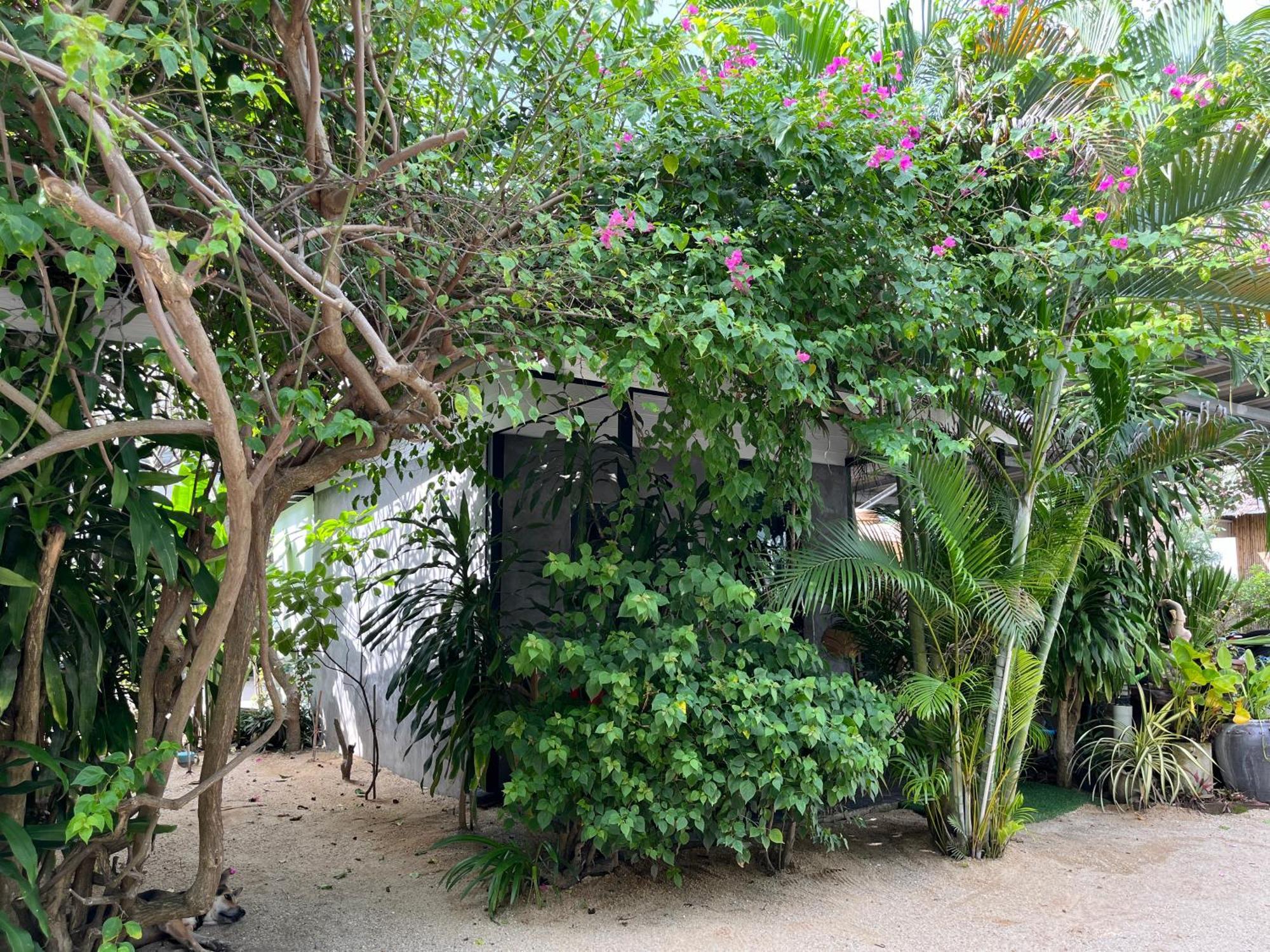 Namthip Homebeach Baan Tai Exterior photo